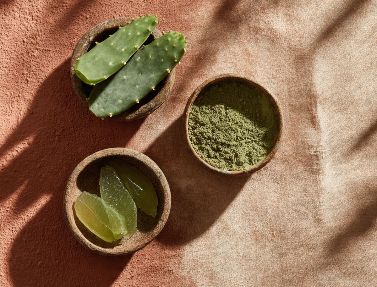 Nopal: la planta mexicana que regenera la piel desde adentro